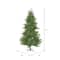 7.5ft. Unlit Mixed Country Pine Slim Artificial Christmas Tree
